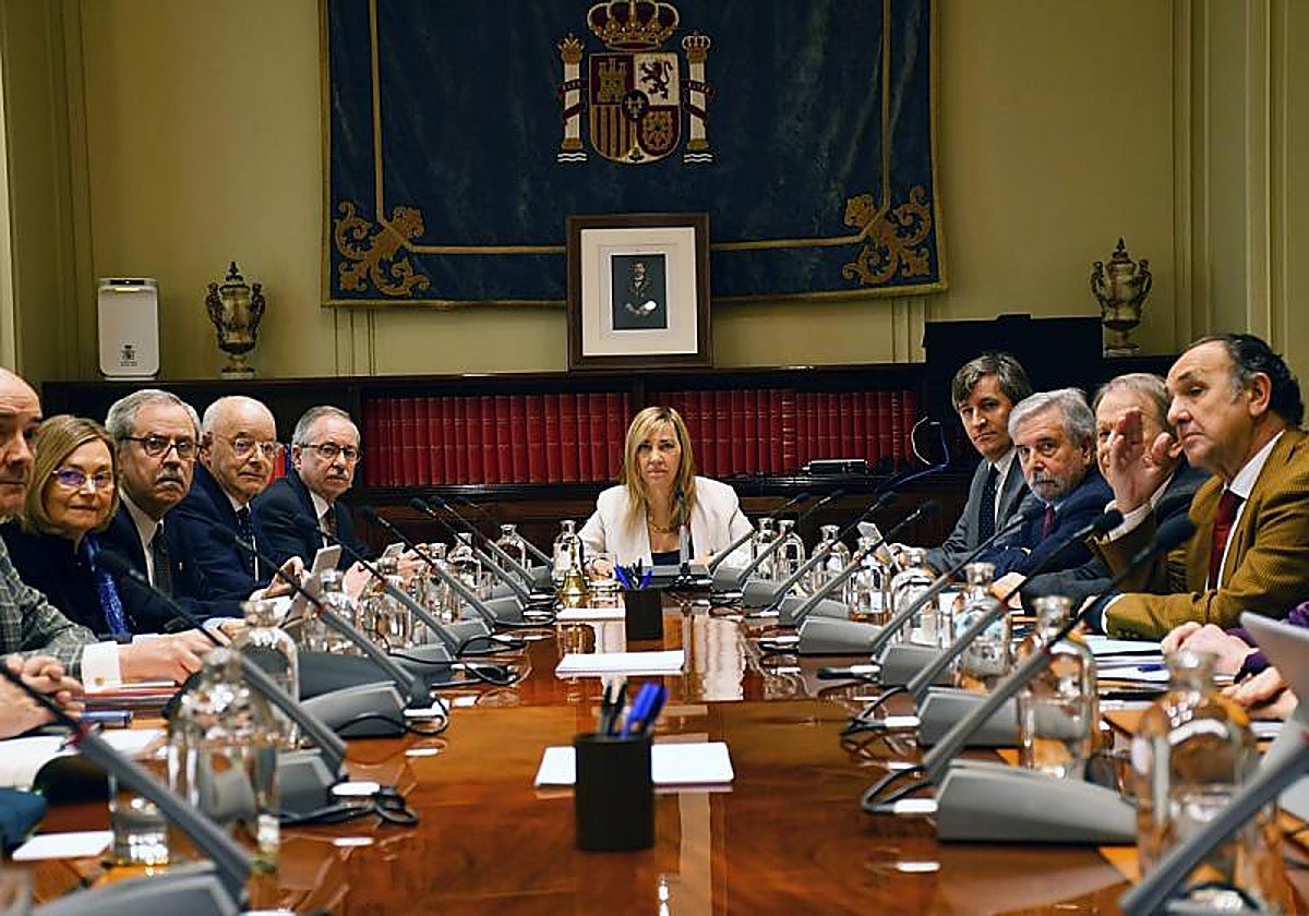 La presidenta del Supremo se reunirá a «la mayor brevedad posible» con Vivas por la crisis migratoria