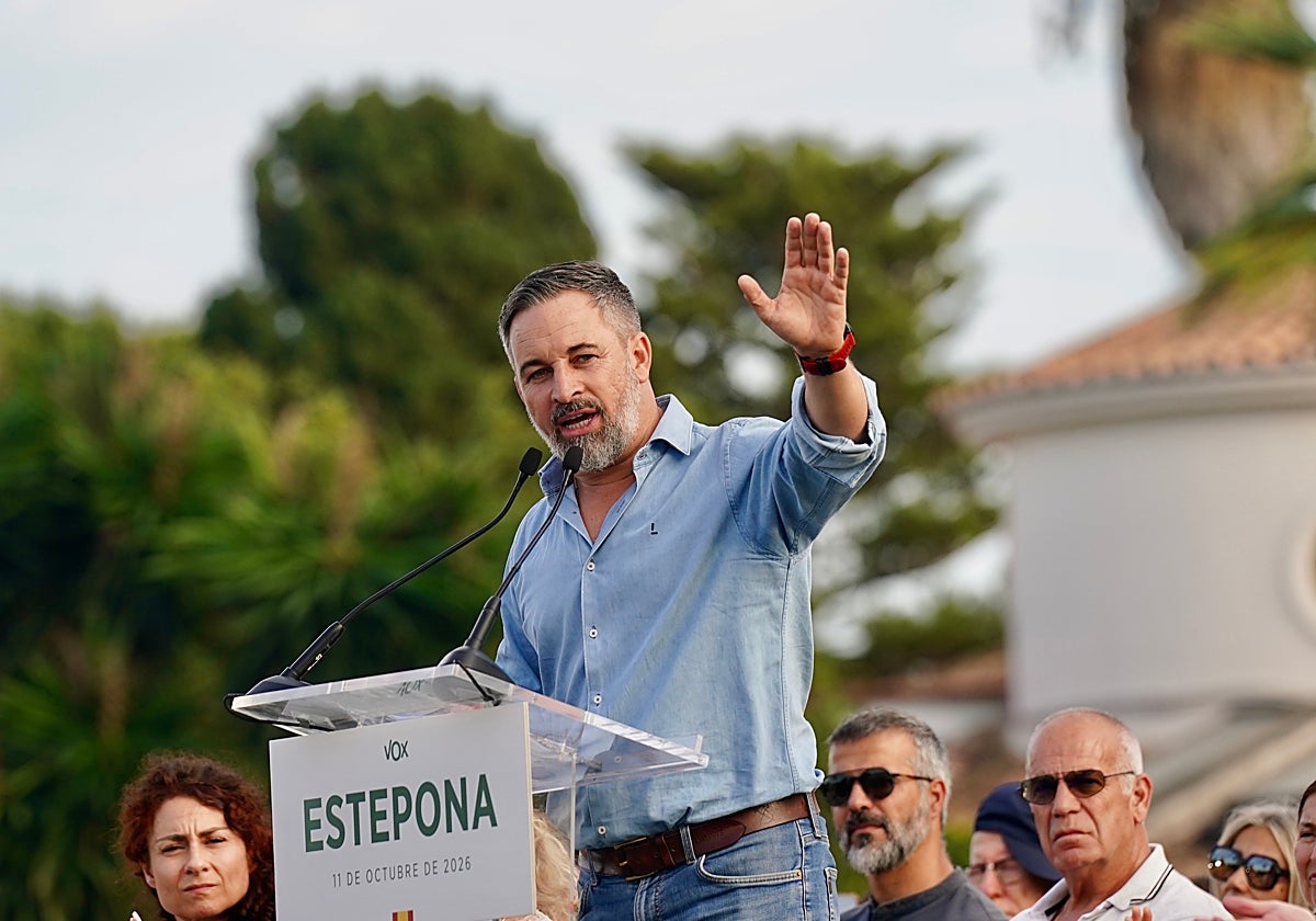 Vox pide al TC que inadmita el recurso del Defensor del Pueblo contra la suspensión del voto exterior decidido por el Supremo