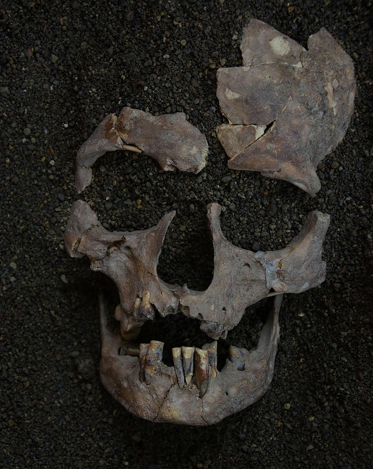 ¿Fueron dos cazadores de hace 25.000 años los primeros drogadictos de la historia?
