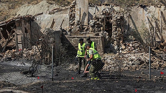 El incendio forestal de Almería en imágenes