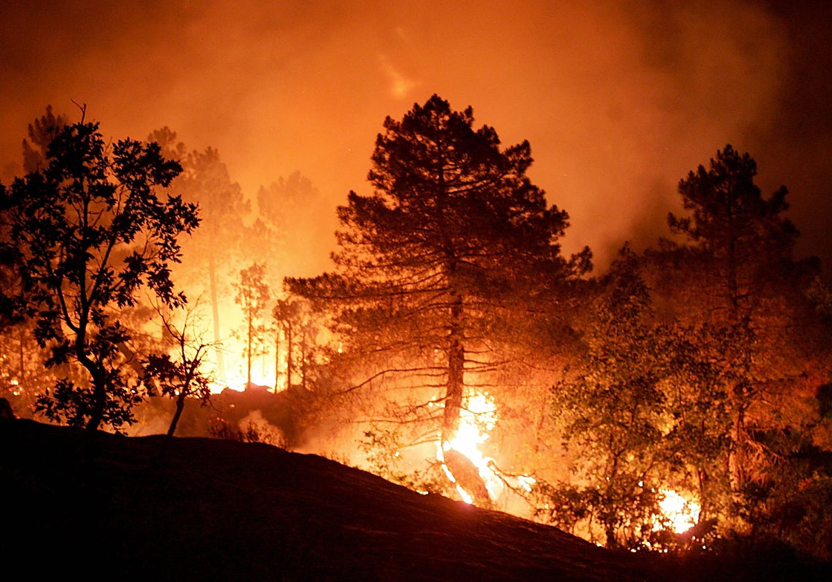El incendio forestal de Almería ya es el tercero con más muertos en la  historia de España | El Correo