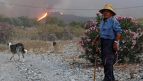 Almería amanece con un hilo de esperanza en Los Gallardos con los medios aéreos de vuelta contra el fuego