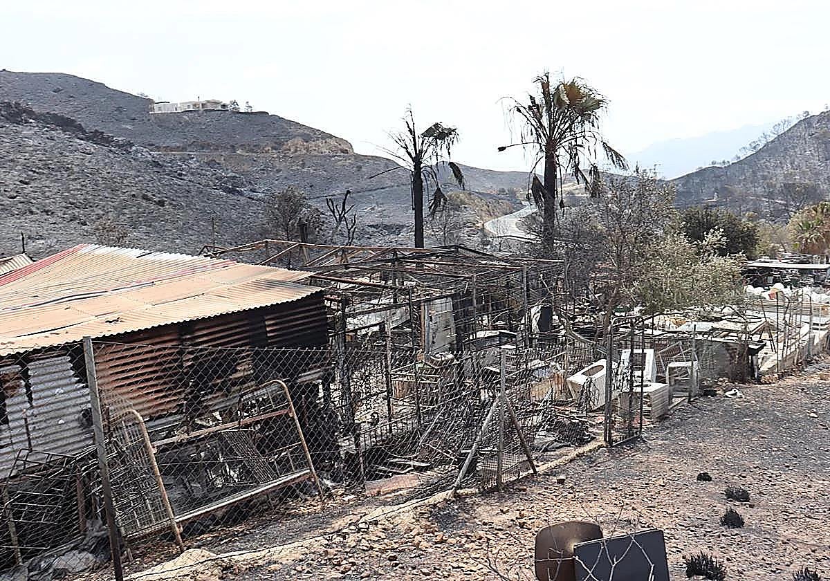 La identificación de los 12 fallecidos en Los Gallardos, a la espera del ADN de familiares