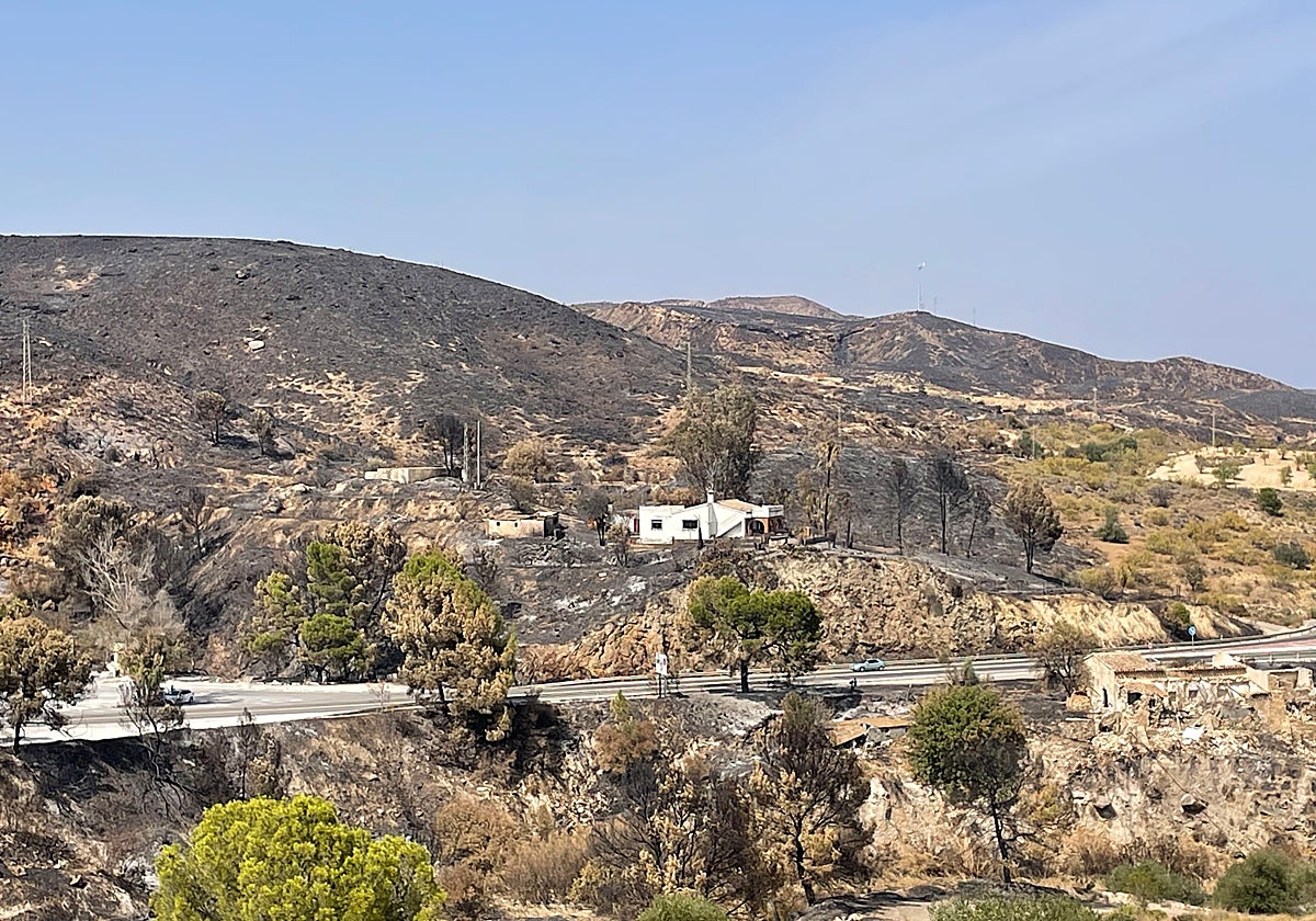 El lugar en el que está la casa es donde se encontraba el poste eléctrico que se investiga como punto cero del incendio