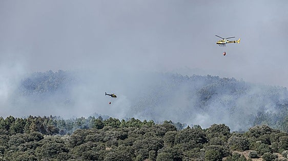Investigan a un alcalde de Vox como presunto responsable del incendio de Guadalajara mientras cosechaba