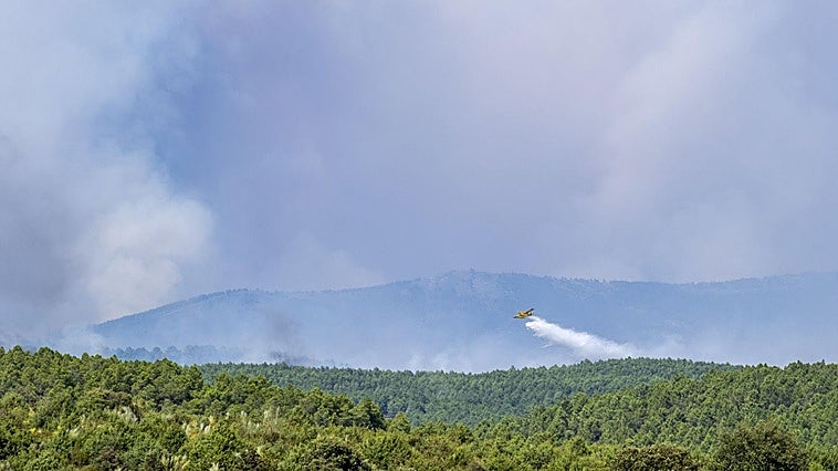 El incendio de Guadalajara sigue avanzando y ya ha calcinado unas 16.000 hectáreas