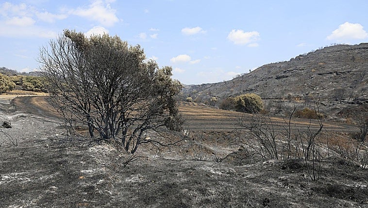 Estabilizado el incendio de Zaragoza y se comenzará a preparar el regreso de las personas desalojadas