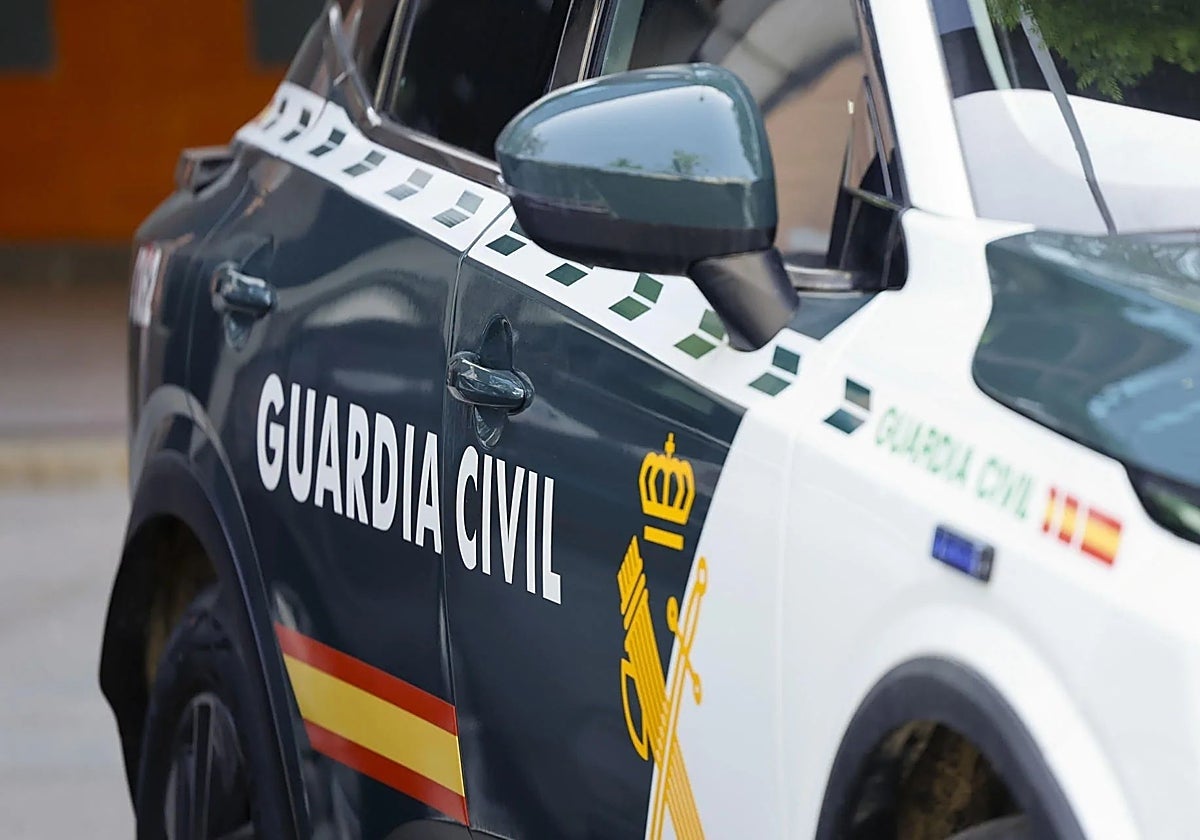 Detienen a un hombre tras la muerte a puñaladas de su mujer en Alamada de la Sagra, Toledo