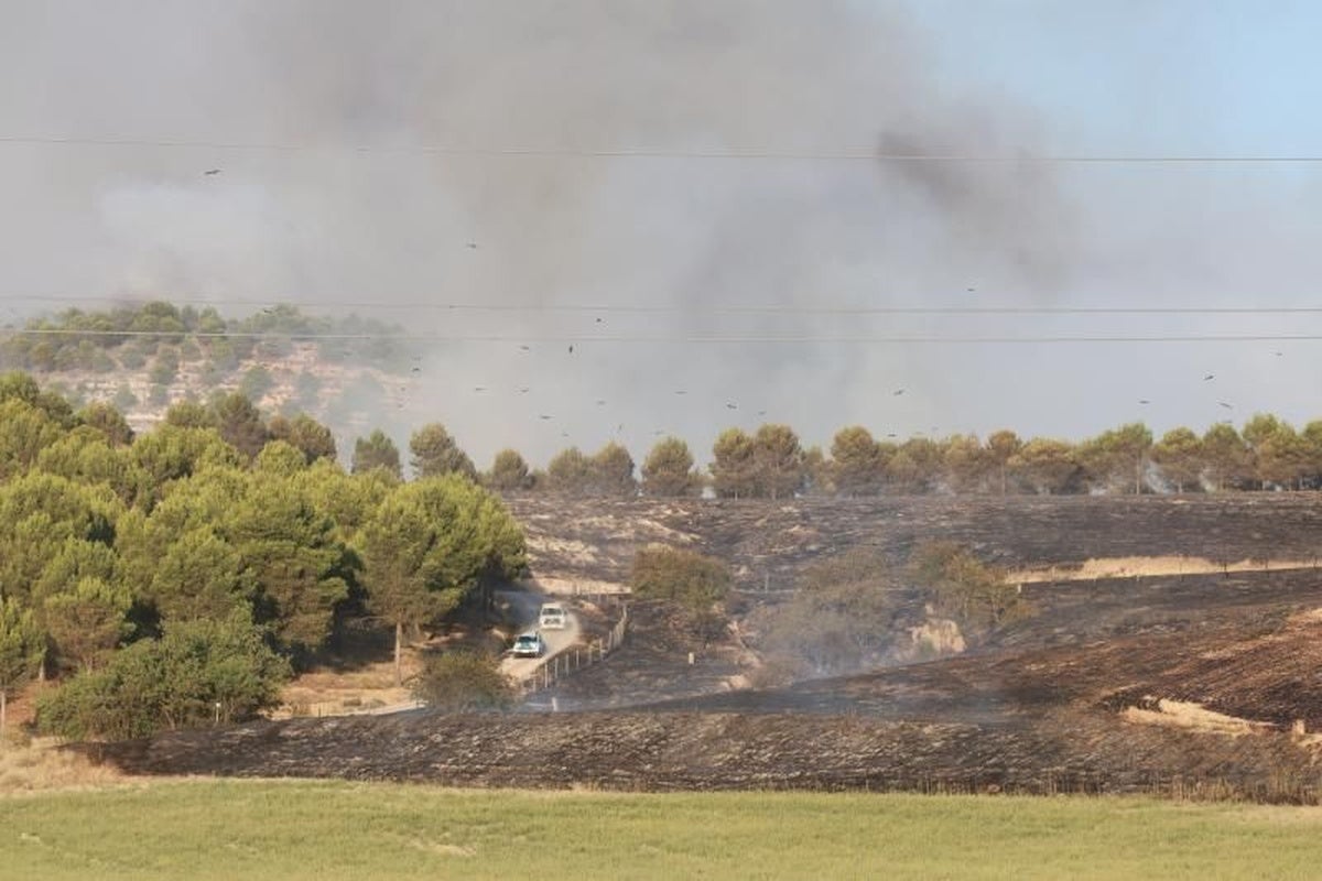 Un incendio en Valladolid devora hectáreas de pinar y moviliza a los militares al adentrarse en el campo de tiro