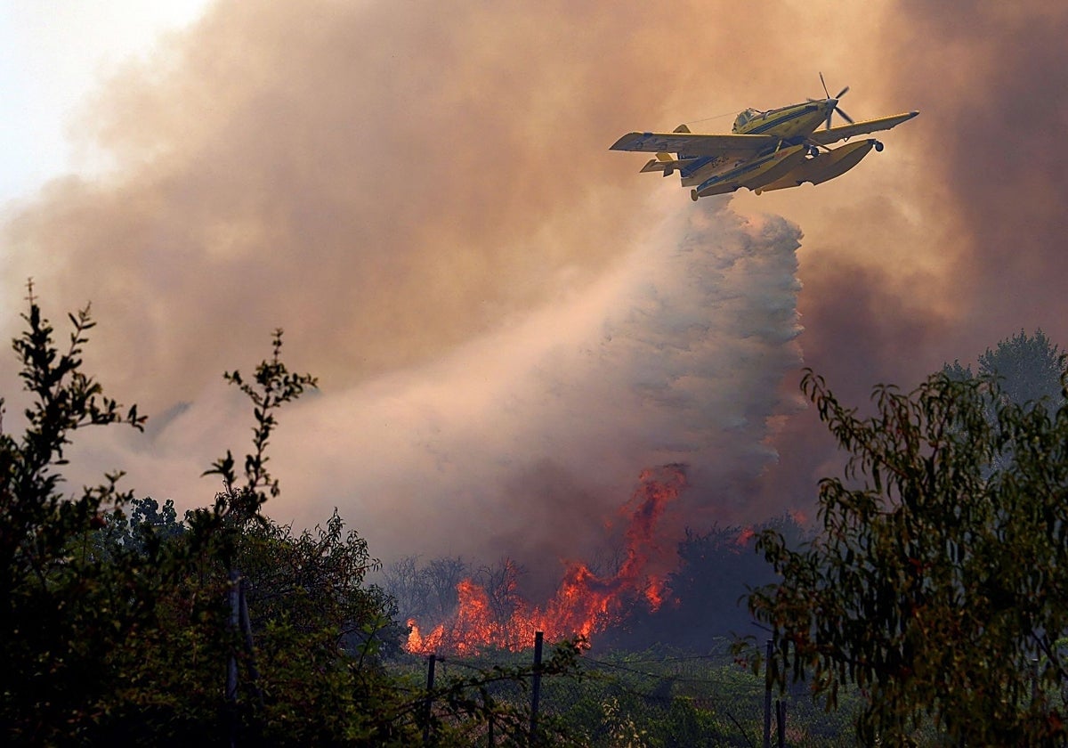 Directo | Sigue la última hora de los incendios forestales en Madrid, Ávila y Toledo