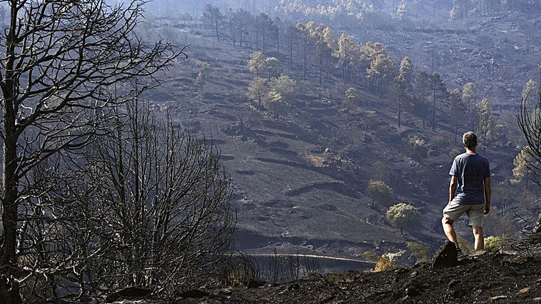 Así hemos narrado una nueva jornada de incendios que arrasan España