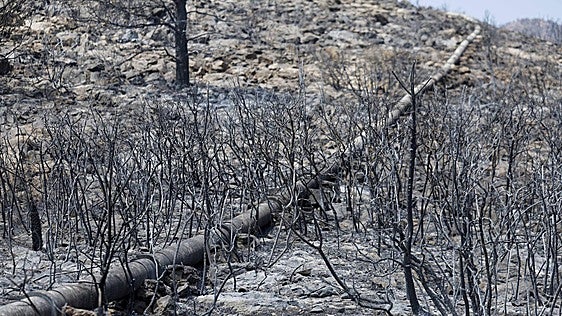 El incendio de Castellón queda estabilizado tras arrasar 9.568 hectáreas