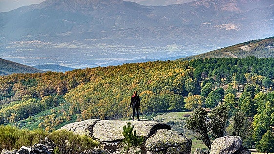 Se busca a un león por una zona de montaña de Toledo