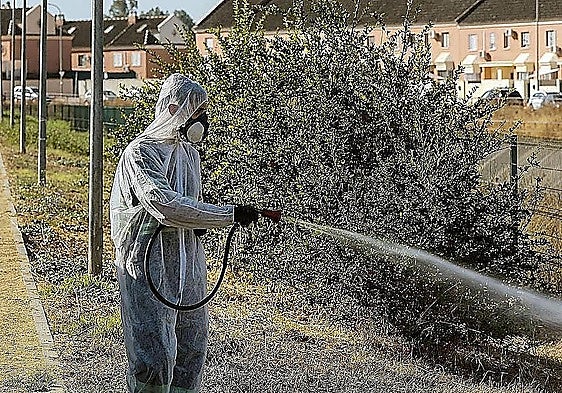 Una mujer de 68 años, segunda víctima mortal por el virus del Nilo en 2026