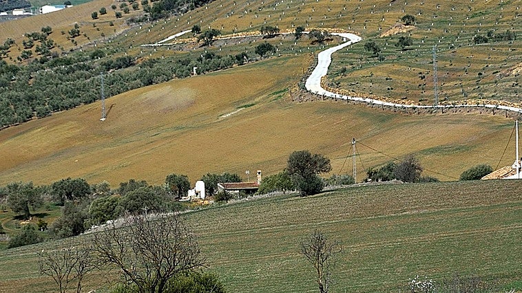 «Solo cinco minutos más»: la empatía de seis agentes evita una tragedia en la provincia de Málaga