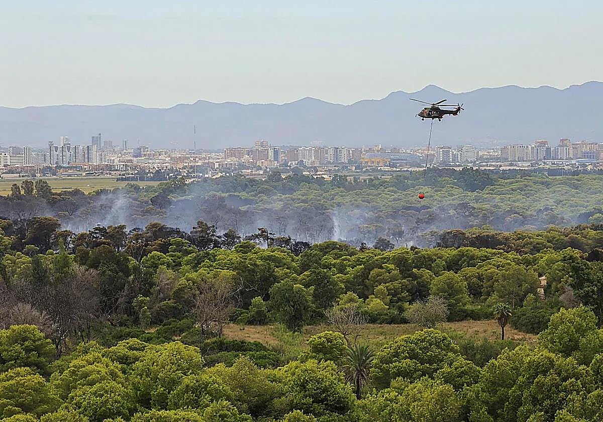 El Saler despierta de su pesadilla mientras sigue la búsqueda del pirómano