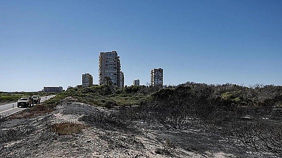 El incendio de El Saler, controlado tras arrasar 37 hectáreas