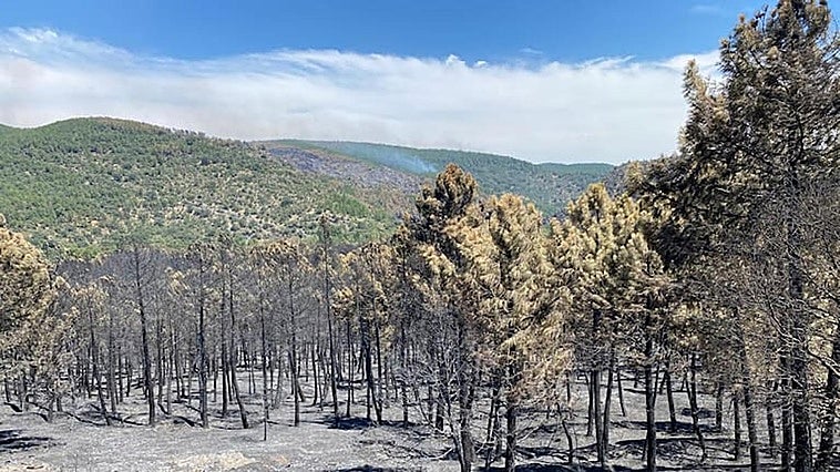Extinguido el incendio de Guadalajara casi dos meses después de su inicio