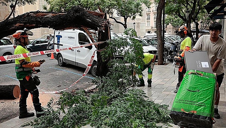 La mañana después del temporal: el diluvio que paralizó Valencia dispara la petición de obras y limpieza de cauces