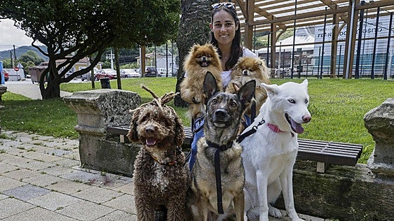 La alternativa a las residencias para mascotas: «Quiero que cuiden de mi perro como yo lo haría»