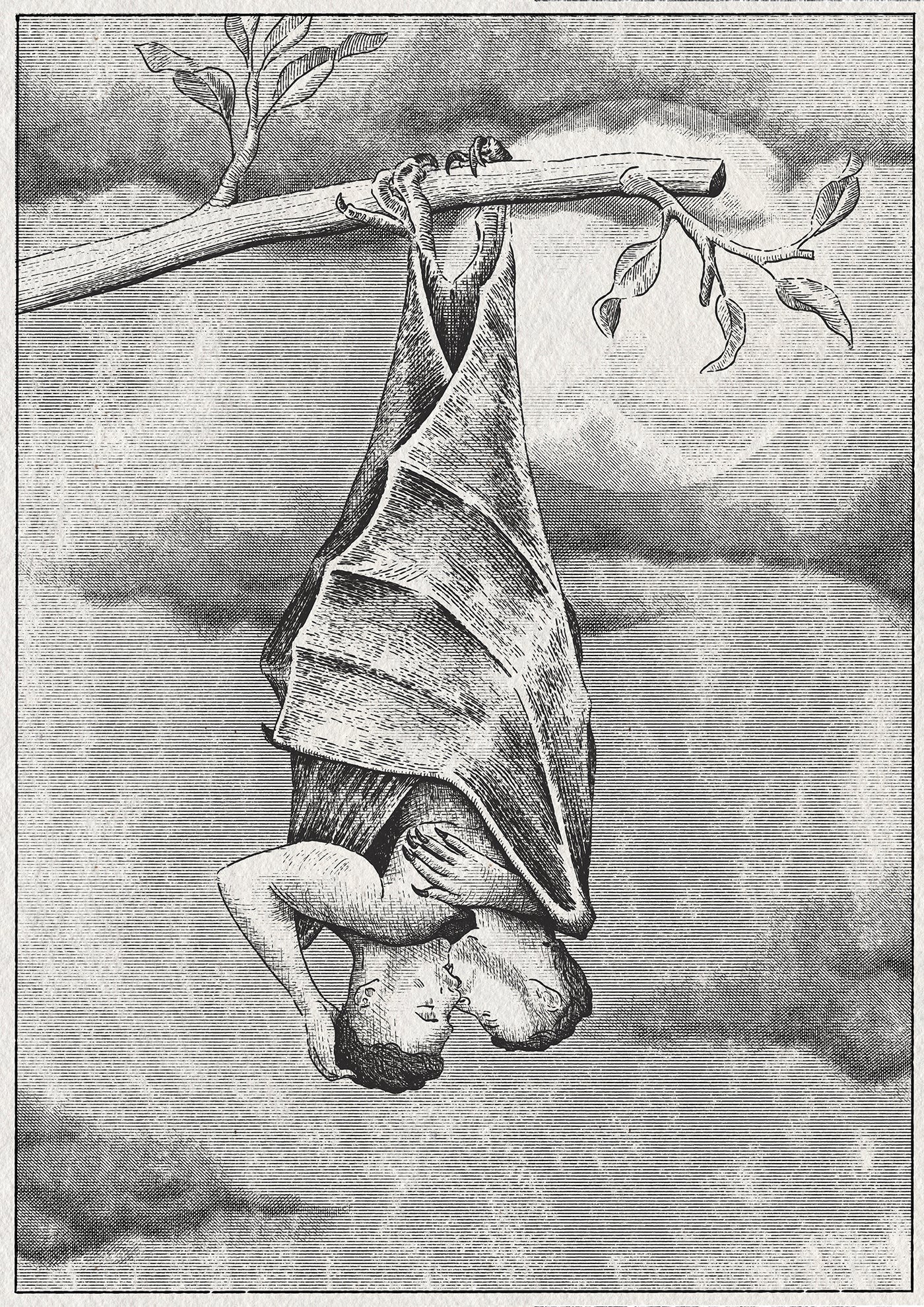Ilustración realizda por Emmanuel Lafont.