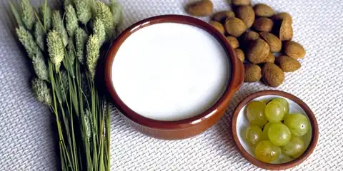 Ajoblanco / Turismo y Planificación Costa del Sol - Málaga S.L.U./www.visitacostadelsol.com