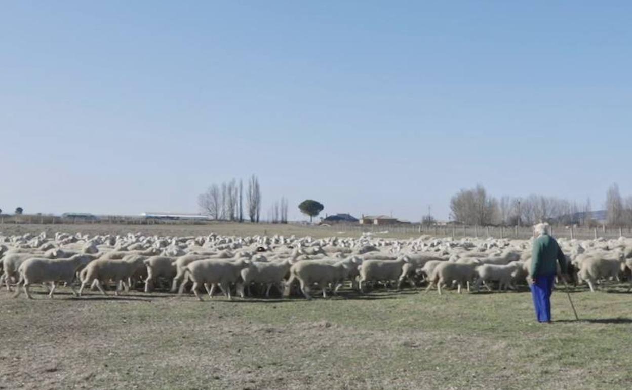 Un fotograma de la obra. 