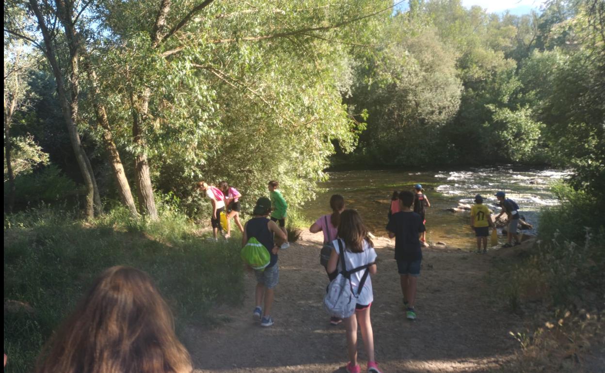 Los niños, recorriendo la isla.