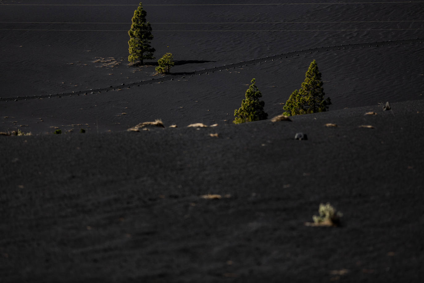 Sendero habilitado para rutas turísticas guiadas a través del manto de ceniza vertida por el volcán.