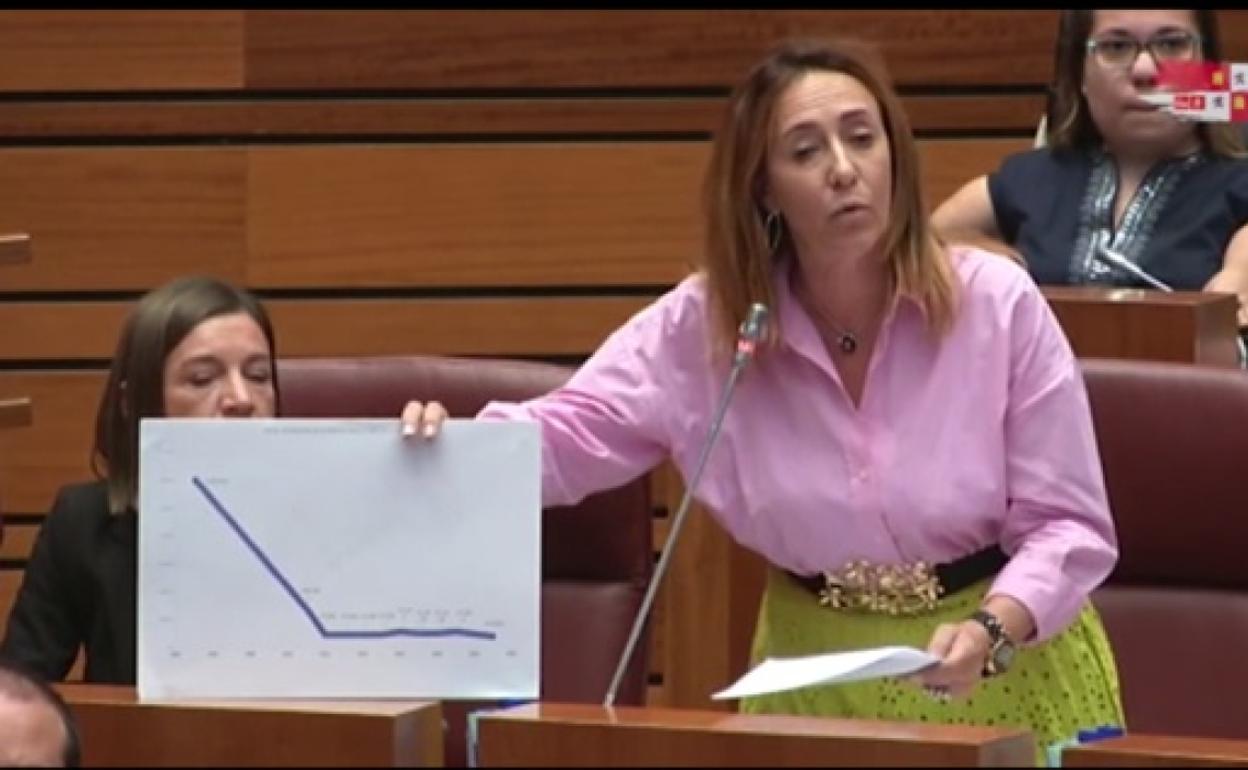 La procuradora por el PSOE de Salamanca, Rosa Rubio. 