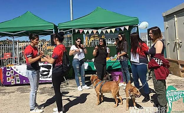 La protectora salmantina Siempre Fiel lanza un SOS para sobrevivir