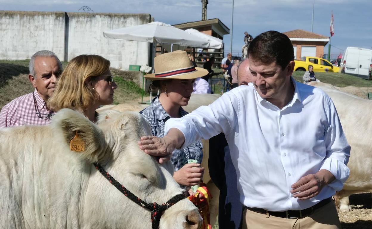 Mañueco, en la inauguración de la Feria de Ganado. 