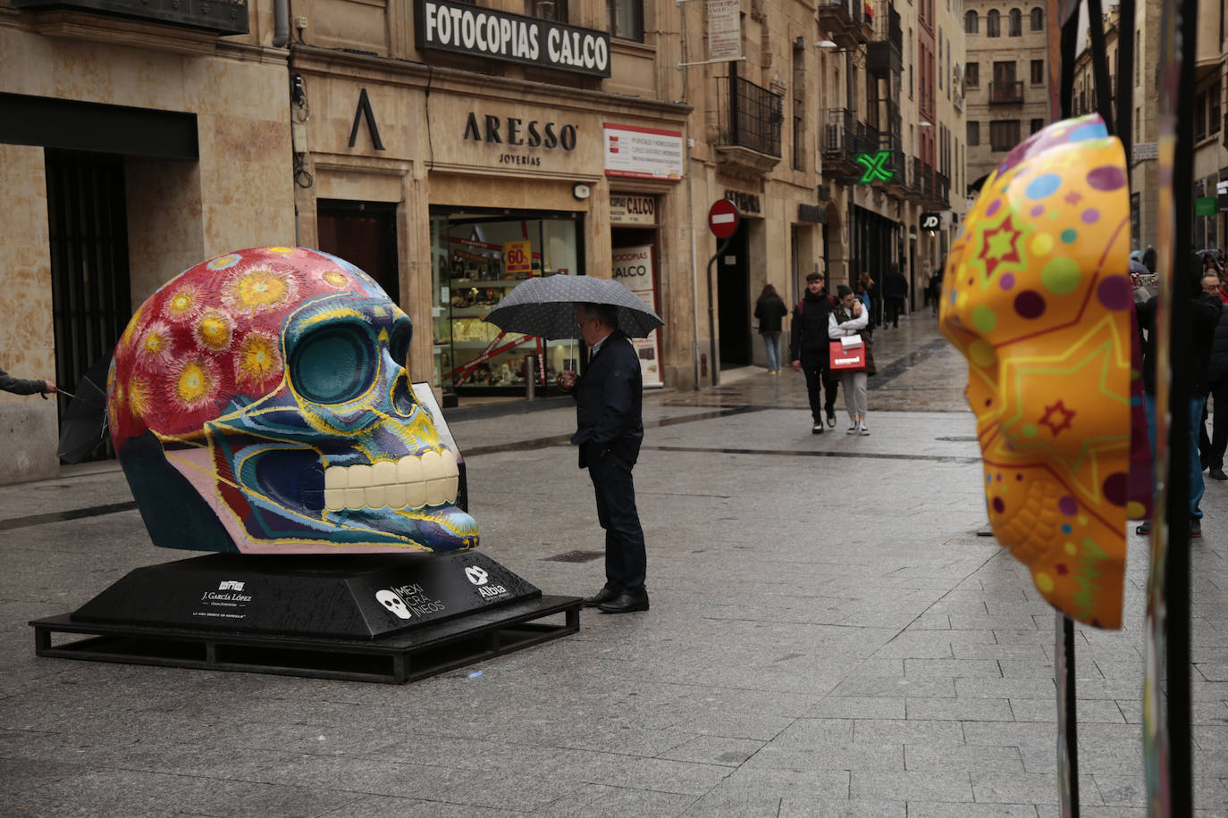 Fotos: Cráneos enormes se instalan en el centro de Salamanca