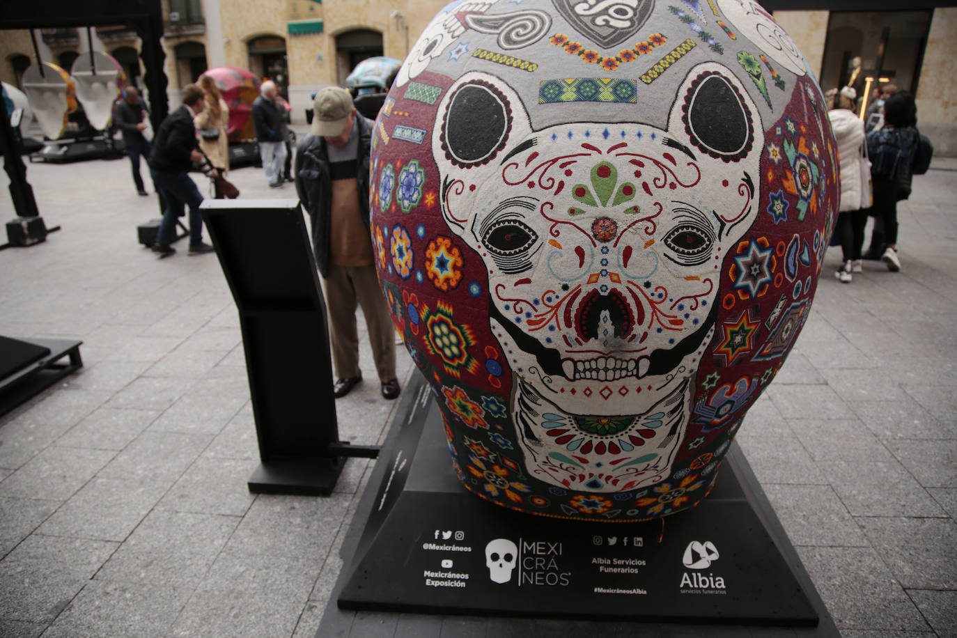 Fotos: Cráneos enormes se instalan en el centro de Salamanca