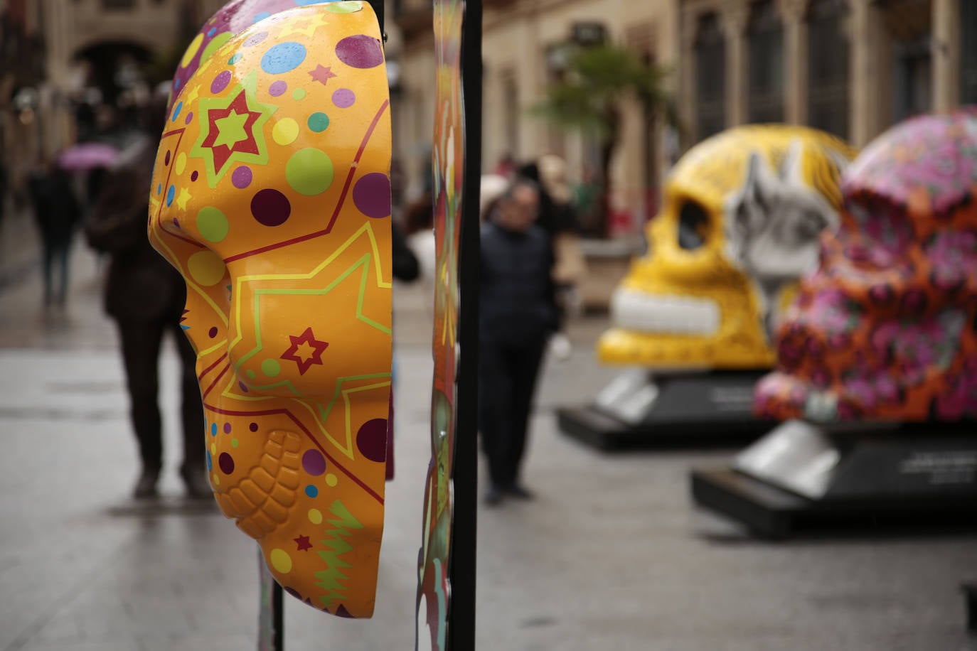 Fotos: Cráneos enormes se instalan en el centro de Salamanca