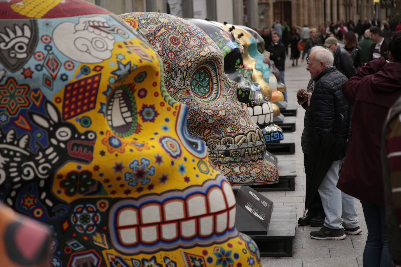 Fotos: Cráneos enormes se instalan en el centro de Salamanca