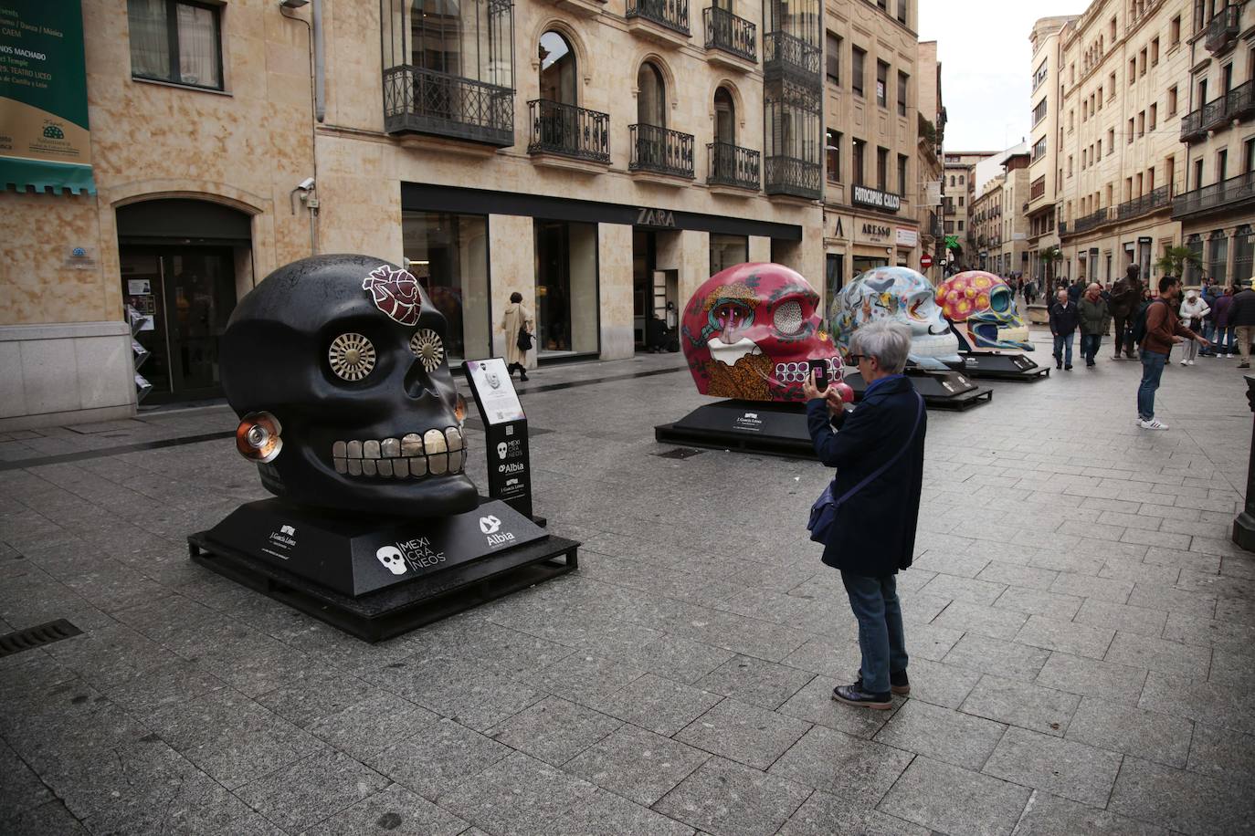Fotos: Cráneos enormes se instalan en el centro de Salamanca