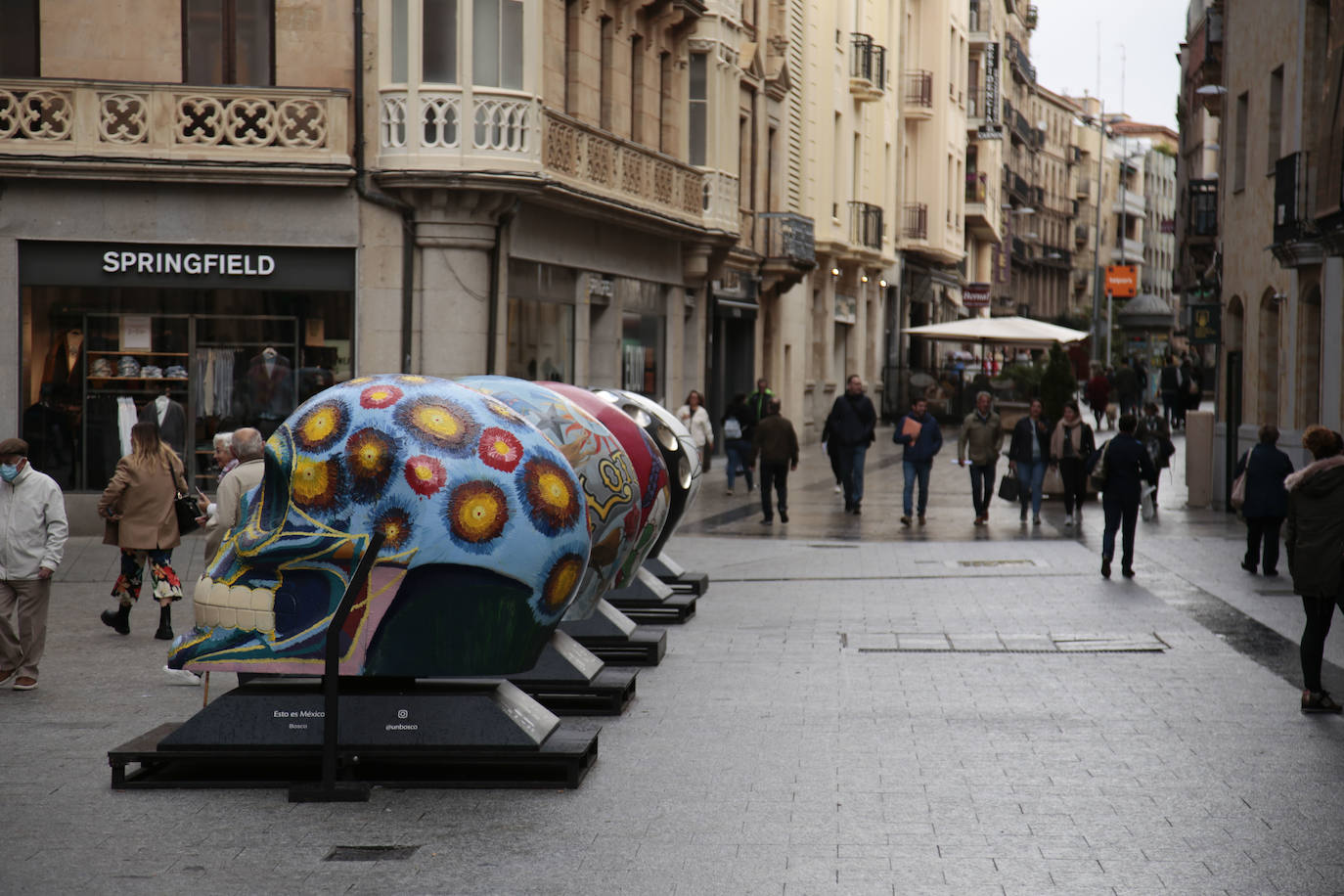 Fotos: Cráneos enormes se instalan en el centro de Salamanca