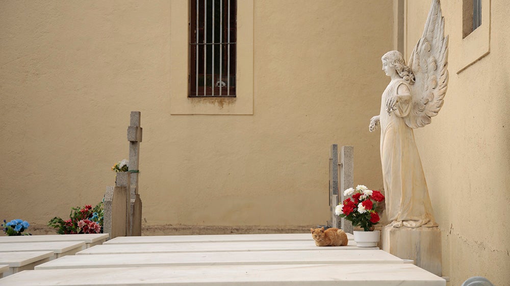 Numerosos personas, de forma individual o en familia, asisten en la mañana del 1 de noviembre al cementerio de Salamanca y a la veneración del Cristo de la Liberación