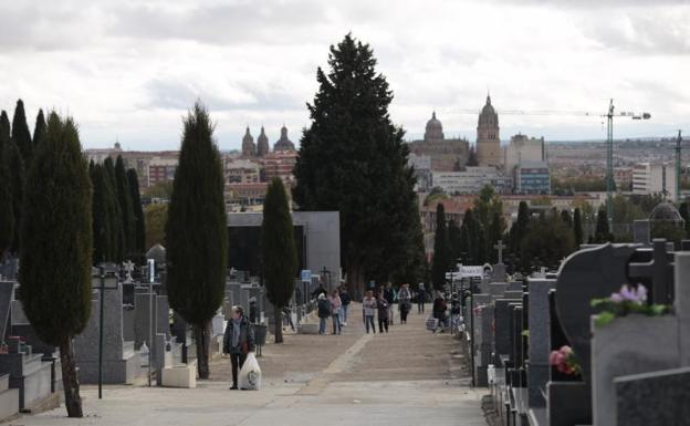 Vista general del cementerio San Carlos Borromeo de Salamanca.