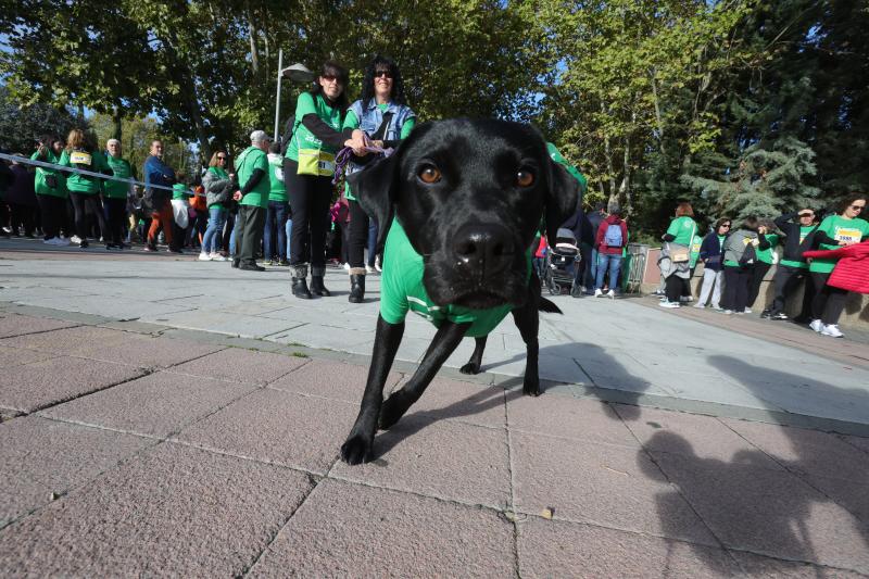 MIles de personas cruzan el puente de Enrique Esteban. 