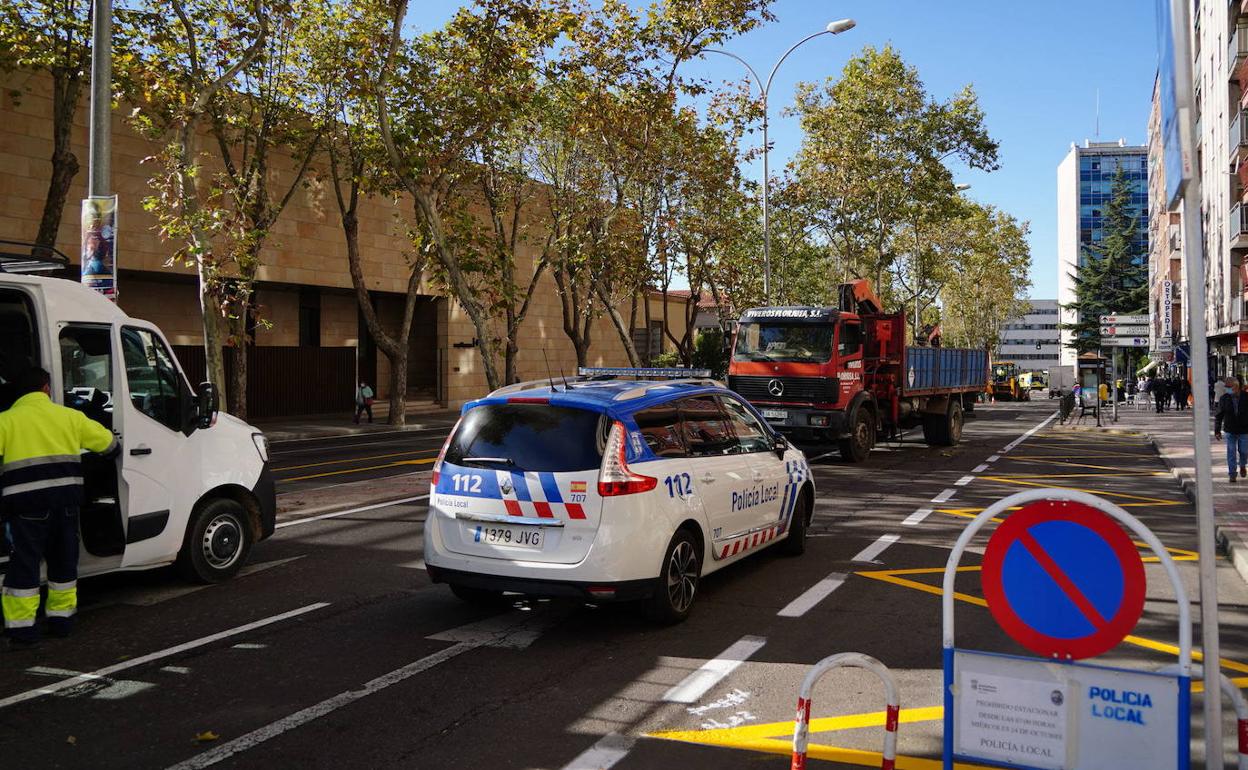 Árboles y obras en un tramo del paseo de San Vicente. 