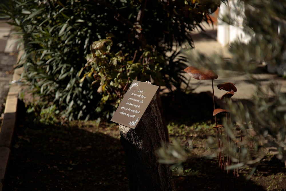 Información sobre las plantas.