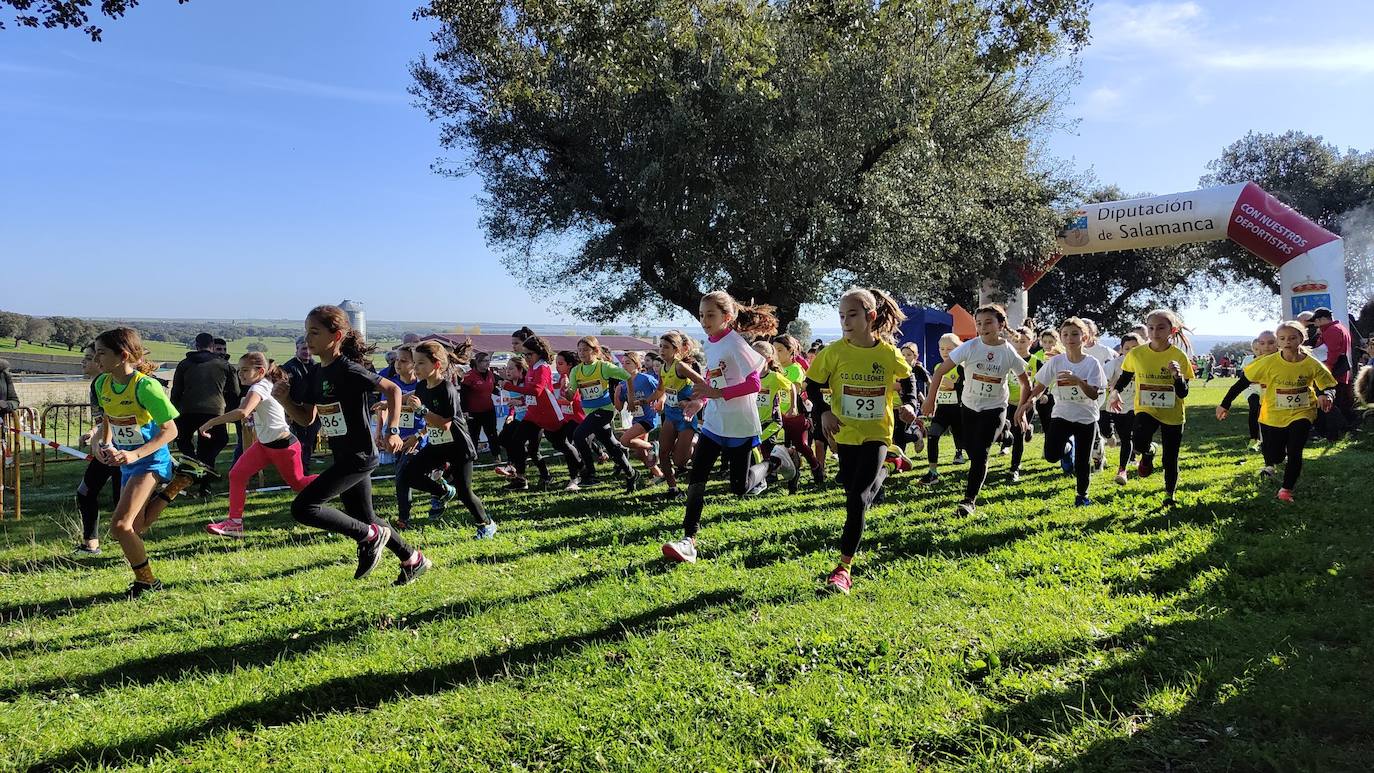 Fotos: VI Carrera Popular Taurina y I Jornada de Juegos Escolares de Campo a Través
