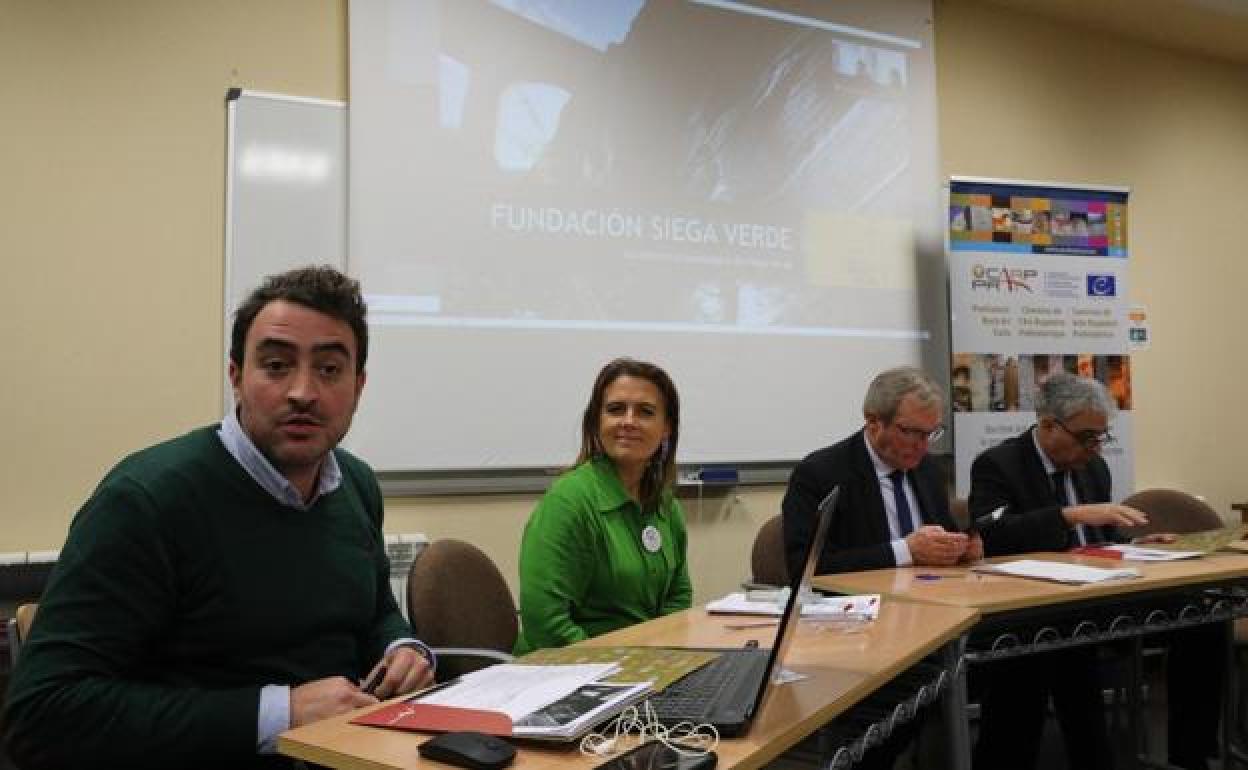 Fundación Siega Verde