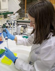 Imagen secundaria 2 - Arriba, Francisco López Hernández, coordinador e investigador del área de innovación del Ibsal