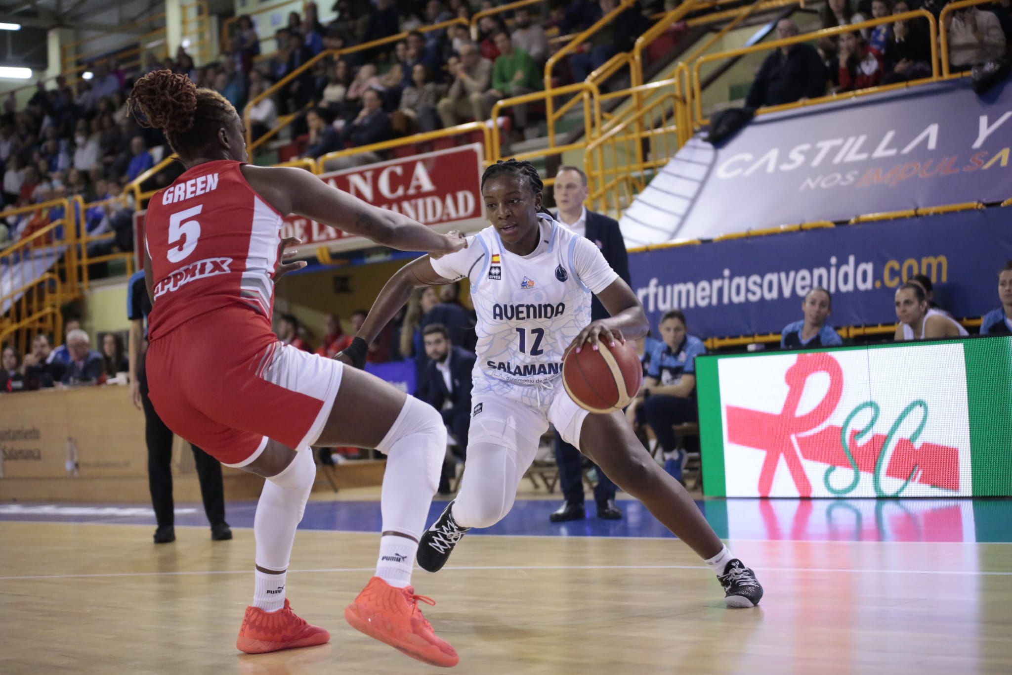 Fotos: Partido de Euroliga entre Avenida y DVTK