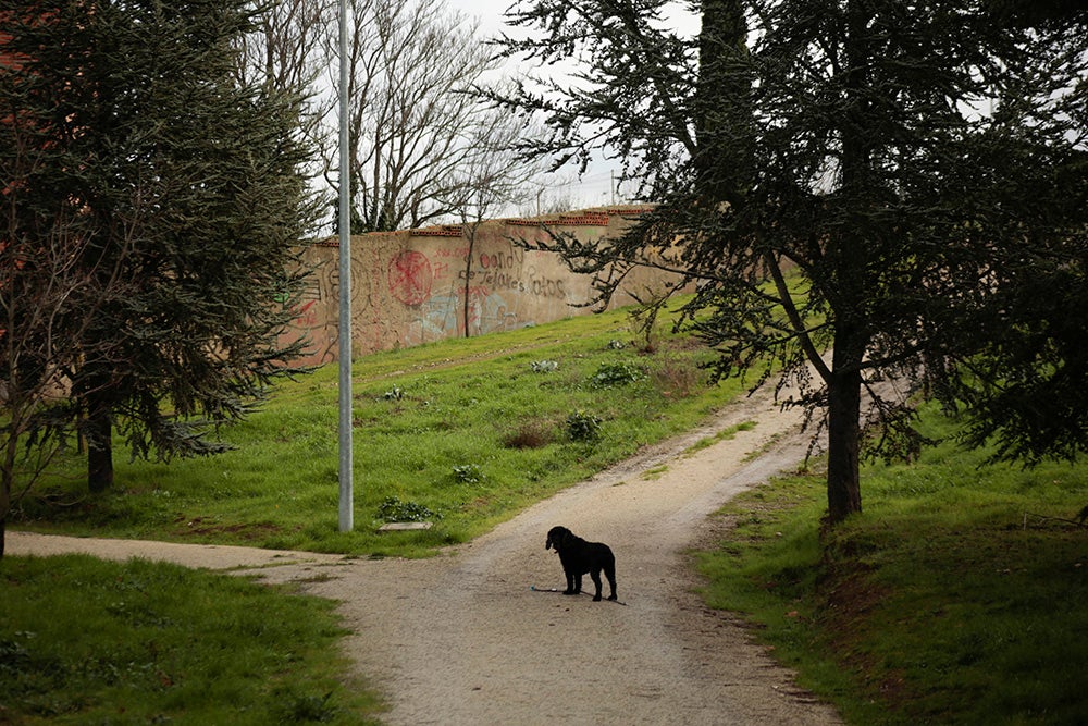 Fotos: Otra mirada a Salamanca. Zona Sur