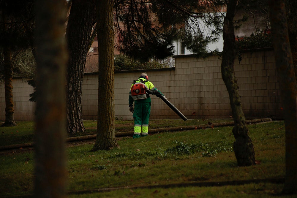 Fotos: Otra mirada a Salamanca. Zona Sur