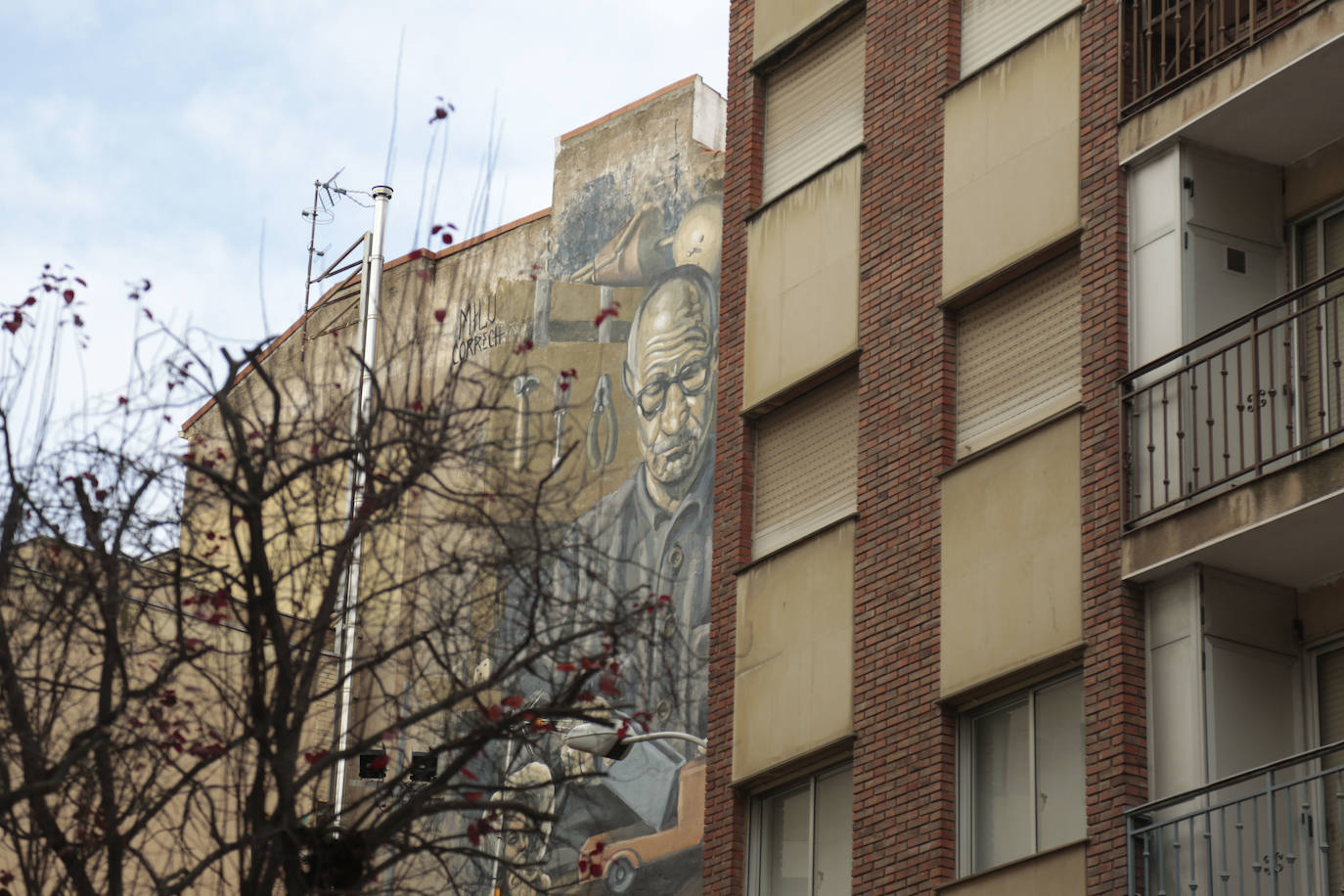 Fotos: ZOES reclama más vegetación y menos coches para el barrio del Oeste